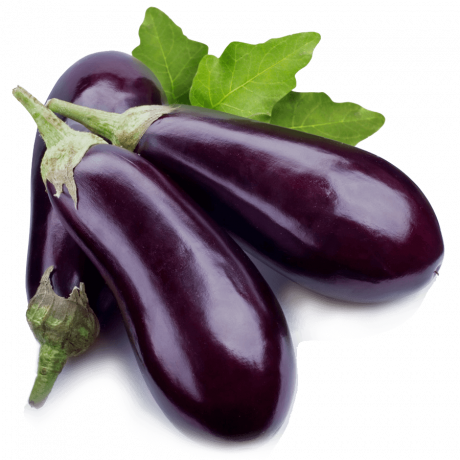 Aubergine