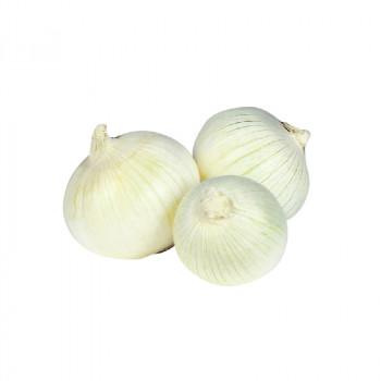 Oignons Blancs