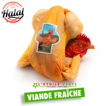 Poulet éffilé